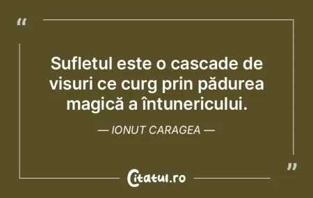 Sufletul este o cascade de visuri ce cur... Sufletul este o cascade de visuri ce cur...