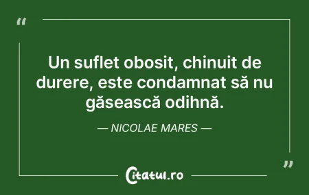 Un suflet obosit, chinuit de durere, est... Un suflet obosit, chinuit de durere, est...