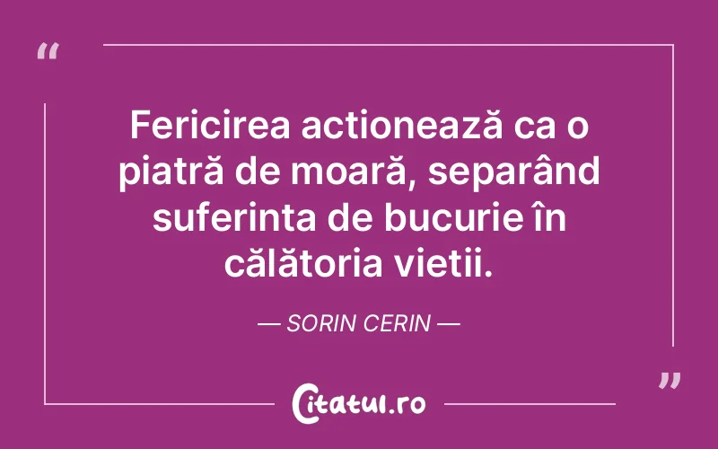 Citat Sorin Cerin - citate spiritualitate