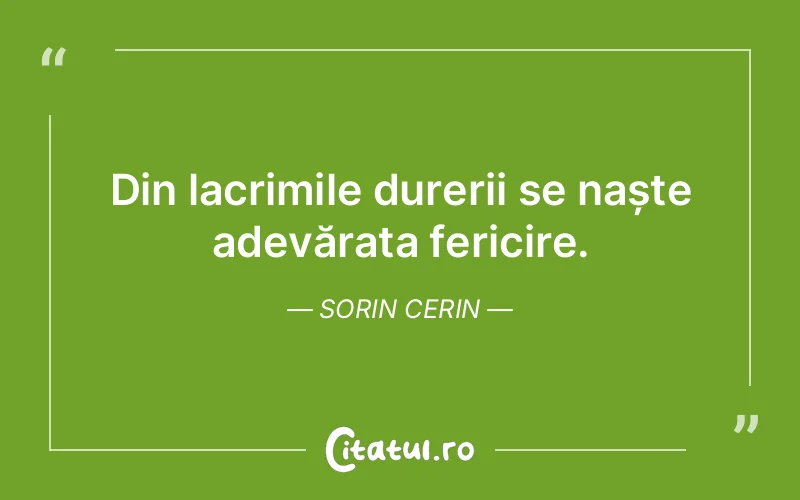 Citat Sorin Cerin - citate spiritualitate