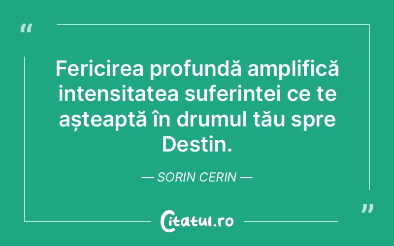 Citat Sorin Cerin - citate spiritualitate