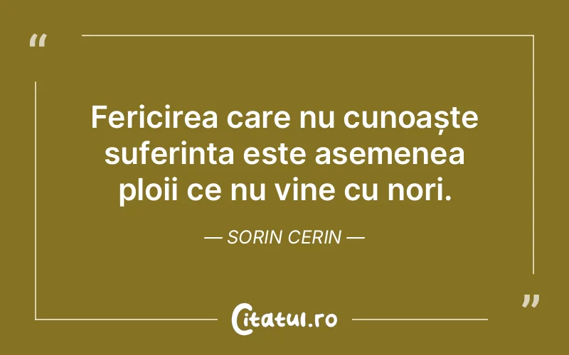 Citat Sorin Cerin - citate spiritualitate