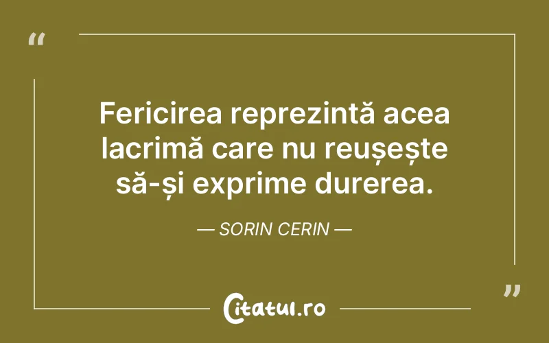 Citat Sorin Cerin - citate spiritualitate