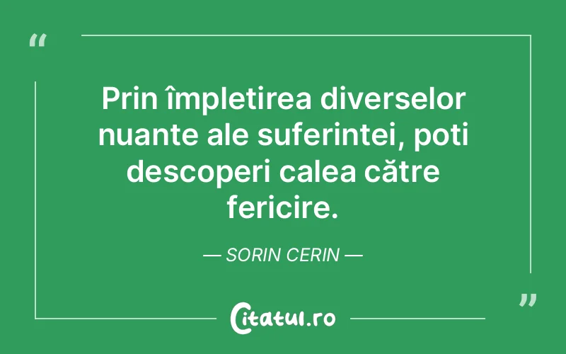 Citat Sorin Cerin - citate spiritualitate