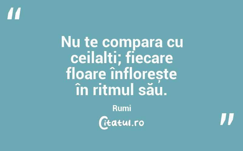 Nu te compara cu ceilalți; fiecare floare înflorește în ritmul său. Rumi
