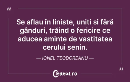 Se aflau în liniște, uniți și fără... Se aflau în liniște, uniți și fără...