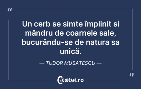 Un cerb se simte împlinit și mândru d... Un cerb se simte împlinit și mândru d...