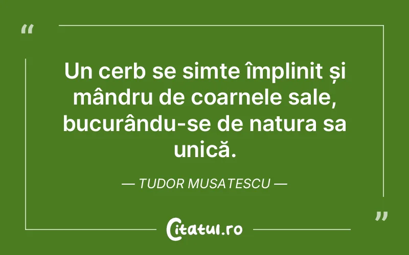 Citat Tudor Musatescu - citate spiritualitate