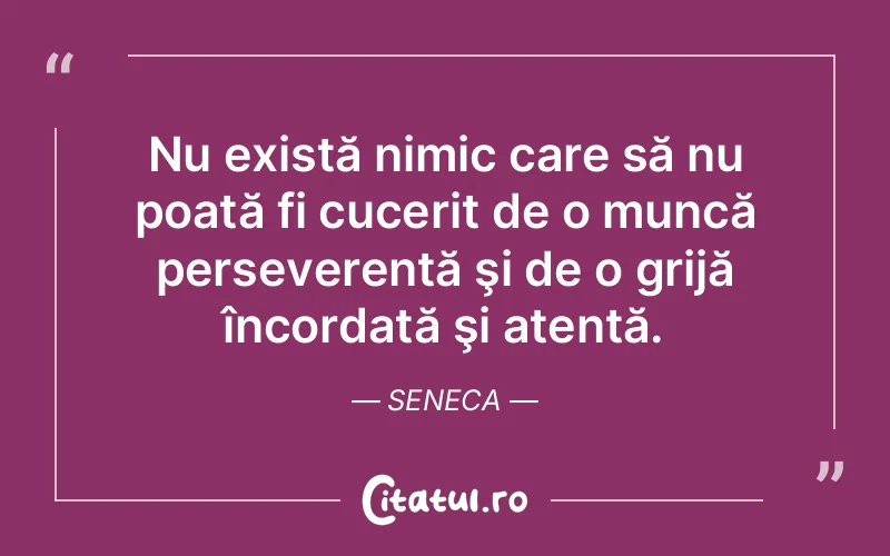 Citat Seneca - citate spiritualitate