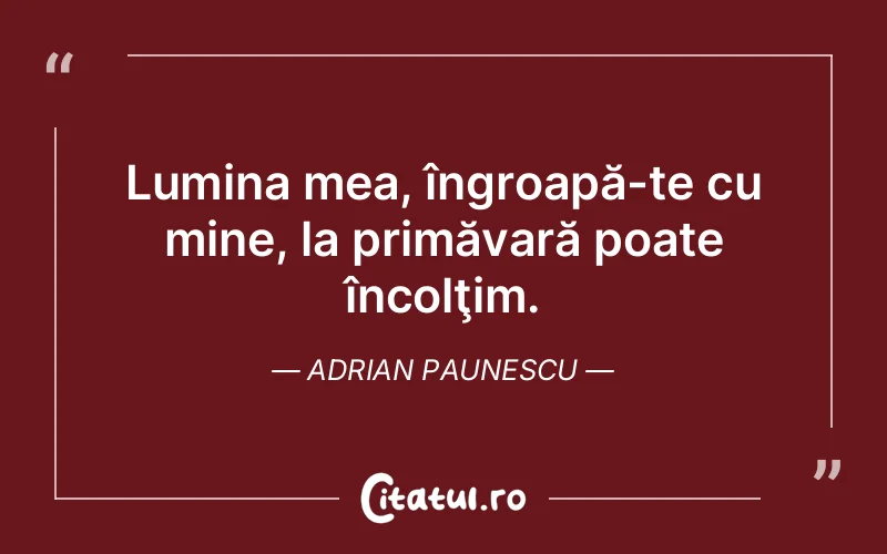 Citat Adrian Paunescu - citate spiritualitate