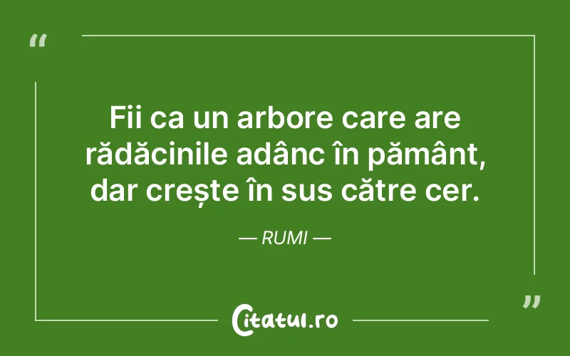 Fii ca un arbore care are rădăcinile adânc în pământ, dar crește în sus către cer. Rumi