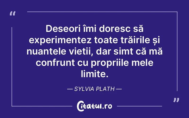 Citat Sylvia Plath - citate spiritualitate