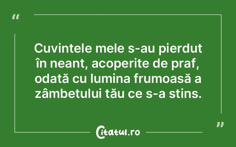 Cuvintele mele s-au pierdut în neant, acoperite de praf, odată cu lumina frumoasă a zâmbetului tău ce s-a stins.