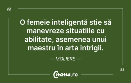 O femeie inteligentă știe să manevrez... O femeie inteligentă știe să manevrez...