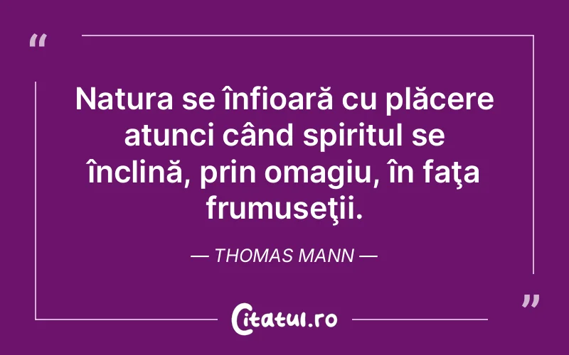 Citat Thomas Mann - citate spiritualitate