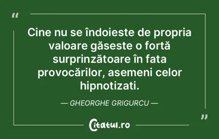 Cine nu se îndoiește de propria valoar... Cine nu se îndoiește de propria valoar...
