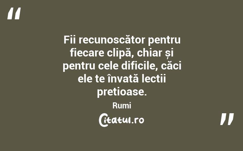 Fii recunoscător pentru fiecare clipă, chiar și pentru cele dificile, căci ele te învață lecții prețioase. Rumi
