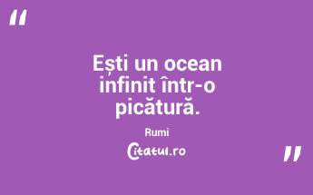 Ești un ocean infinit într-o picătură. Rumi...