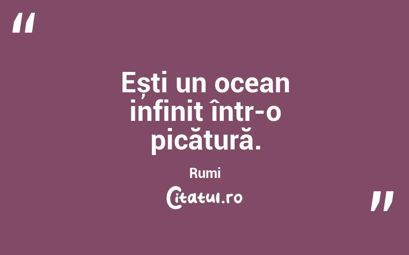 Ești un ocean infinit într-o picătură. Rumi

