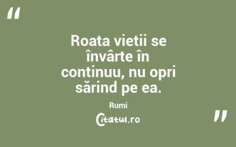 Roata vieții se învârte în continuu, nu opri sărind pe ea. Rumi...