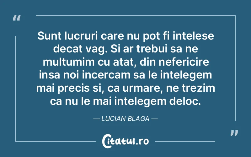 Sunt lucruri care nu pot fi intelese decat vag. Si ar trebui sa ne multumim cu atat, din nefericire insa noi incercam sa le intelegem mai precis si, ca urmare, ne trezim ca nu le mai intelegem deloc. Lucian Blaga
