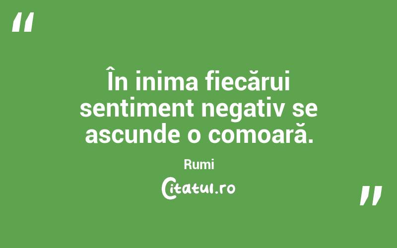 În inima fiecărui sentiment negativ se ascunde o comoară. Rumi
