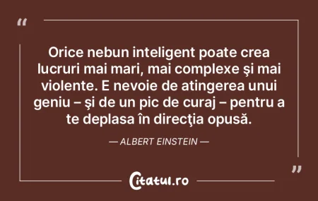 Orice nebun inteligent poate crea lucrur... Orice nebun inteligent poate crea lucrur...