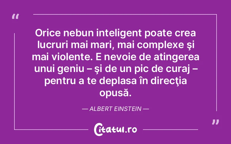 Citat Albert Eins - citate spiritualitate