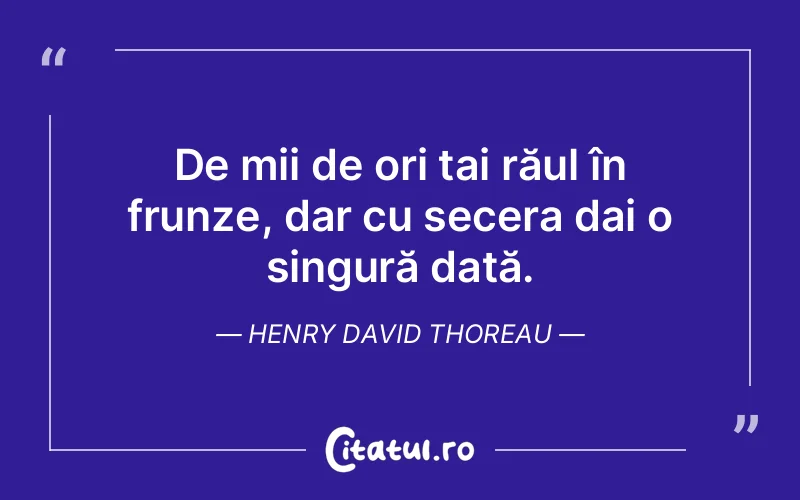 Citat Henry David Thoreau - citate spiritualitate