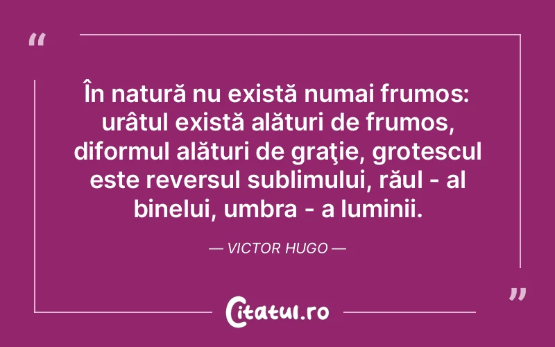 Citat Victor Hugo - citate spiritualitate
