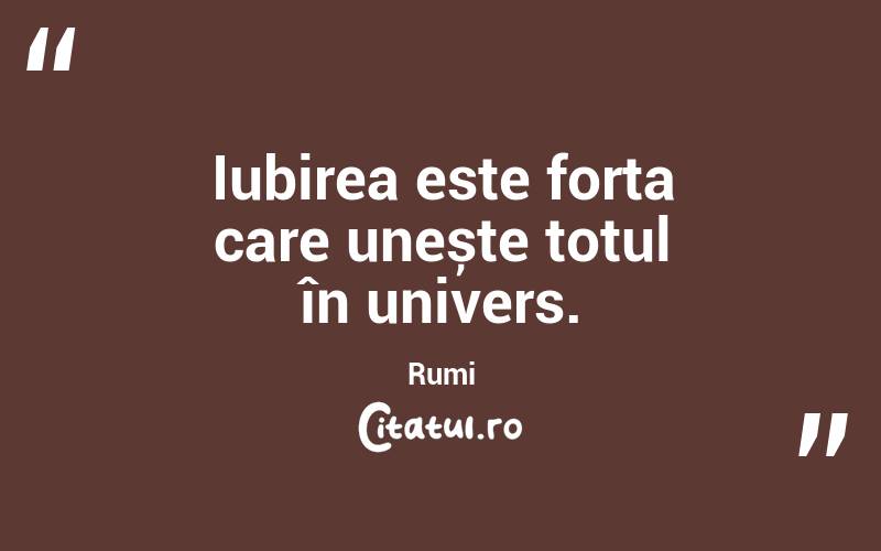 Iubirea este forța care unește totul în univers. Rumi
