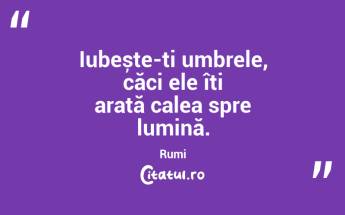 Iubește-ți umbrele, căci ele îți arată calea spre lumină. Rumi...