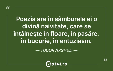 Poezia are în sâmburele ei o divină n...