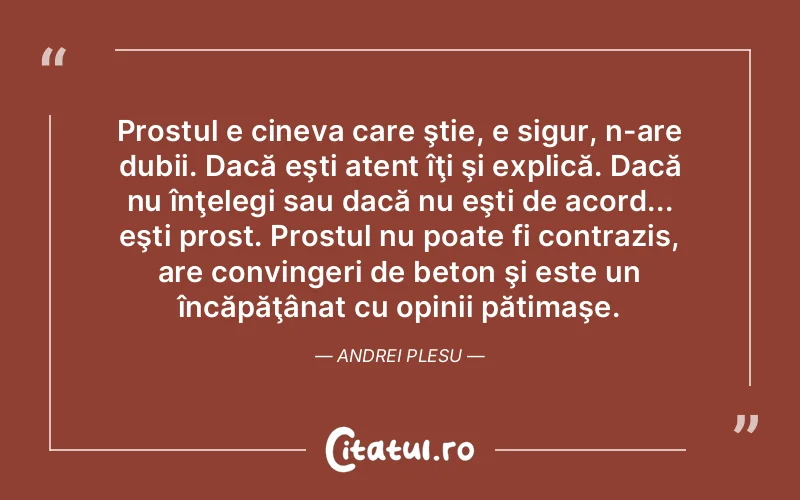 Prostul e cineva care ştie, e sigur, n-are dubii. Dacă eşti atent îţi şi explică. Dacă nu înţelegi sau dacă nu eşti de acord... eşti prost. Prostul nu poate fi contrazis, are convingeri de beton şi este un încăpăţânat cu opinii pătimaşe. Andrei Plesu