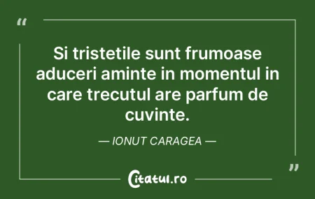 Si tristetile sunt frumoase aduceri amin... Si tristetile sunt frumoase aduceri amin...