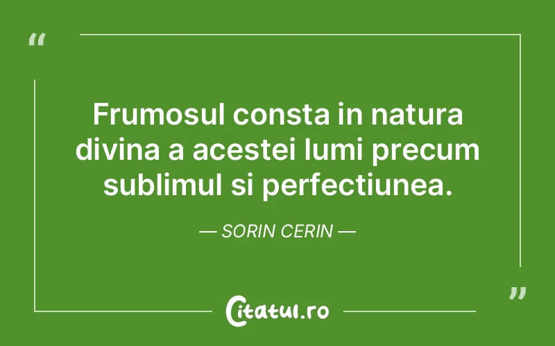 Citat Sorin Cerin - citate spiritualitate