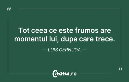 Tot ceea ce este frumos are momentul lui... Tot ceea ce este frumos are momentul lui...