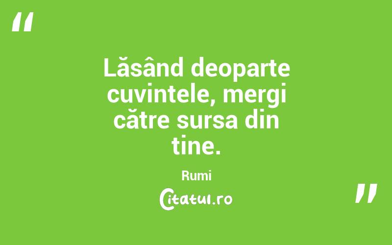 Lăsând deoparte cuvintele, mergi către sursa din tine. Rumi
