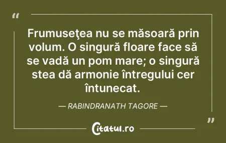 Frumuseţea nu se măsoară prin volum. ... Frumuseţea nu se măsoară prin volum. ...