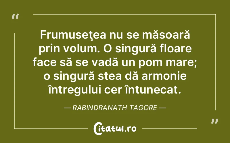 Citat Rabindranath Tagore - citate spiritualitate