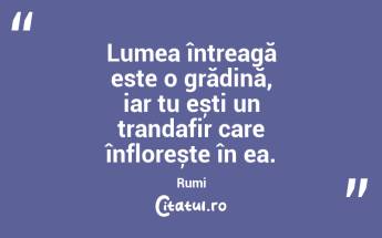 Lumea întreagă este o grădină, iar tu ești un trandafir care înflorește în ea. Rumi...