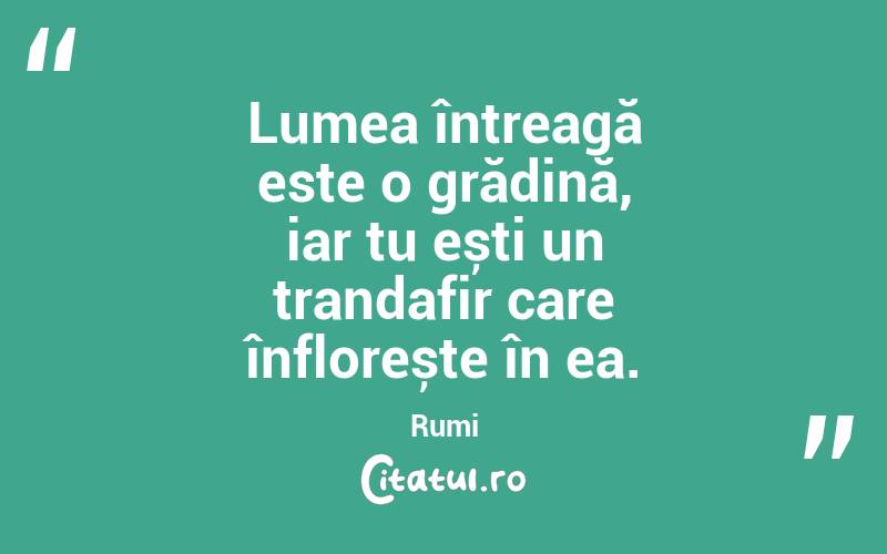 Lumea întreagă este o grădină, iar tu ești un trandafir care înflorește în ea. Rumi
