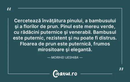 Cercetează învăţătura pinului, a ba... Cercetează învăţătura pinului, a ba...