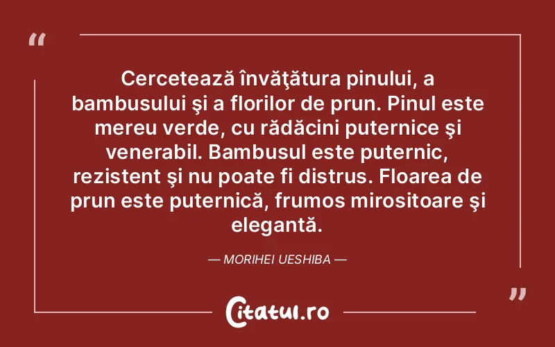 Cercetează învăţătura pinului, a bambusului şi a florilor de prun. Pinul este mereu verde, cu rădăcini puternice şi venerabil. Bambusul este puternic, rezistent şi nu poate fi distrus. Floarea de prun este puternică, frumos mirositoare şi elegantă. Morihei Ueshiba