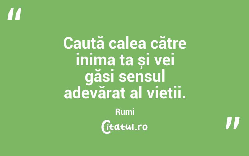 Caută calea către inima ta și vei găsi sensul adevărat al vieții. Rumi
