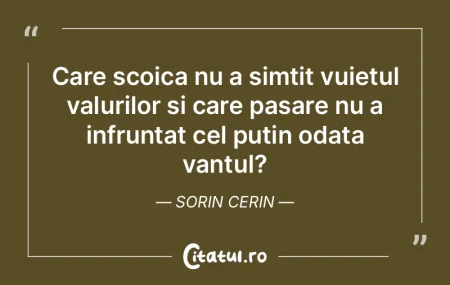 Care scoica nu a simtit vuietul valurilo...