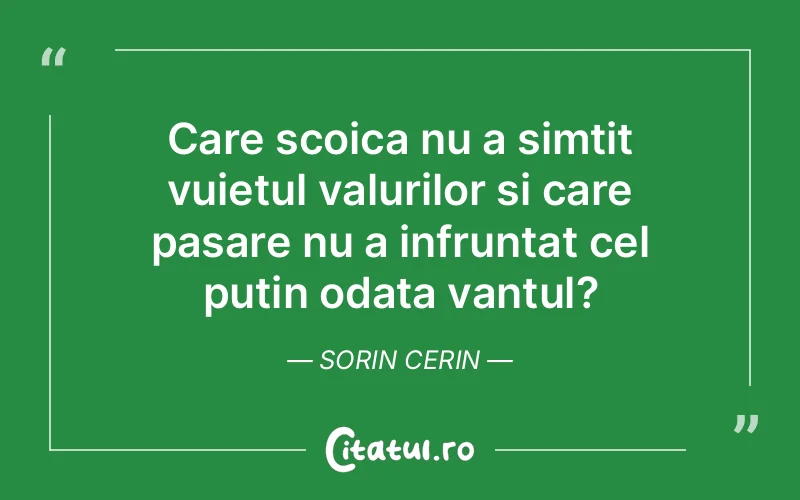 Citat Sorin Cerin - citate spiritualitate