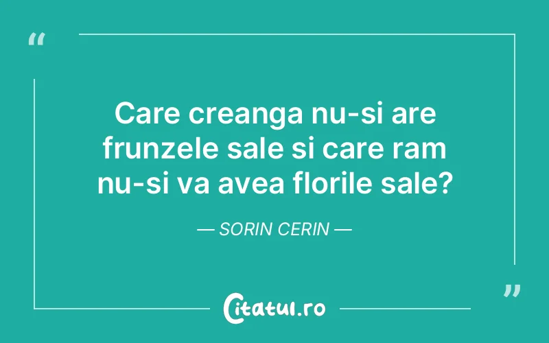 Citat Sorin Cerin - citate spiritualitate