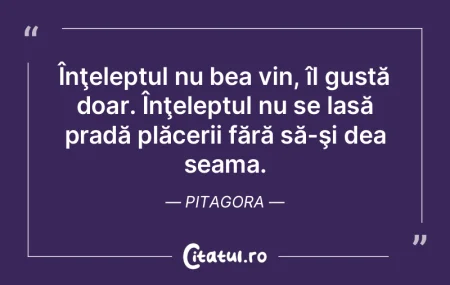 Înţeleptul nu bea vin, îl gustă doar... Înţeleptul nu bea vin, îl gustă doar...