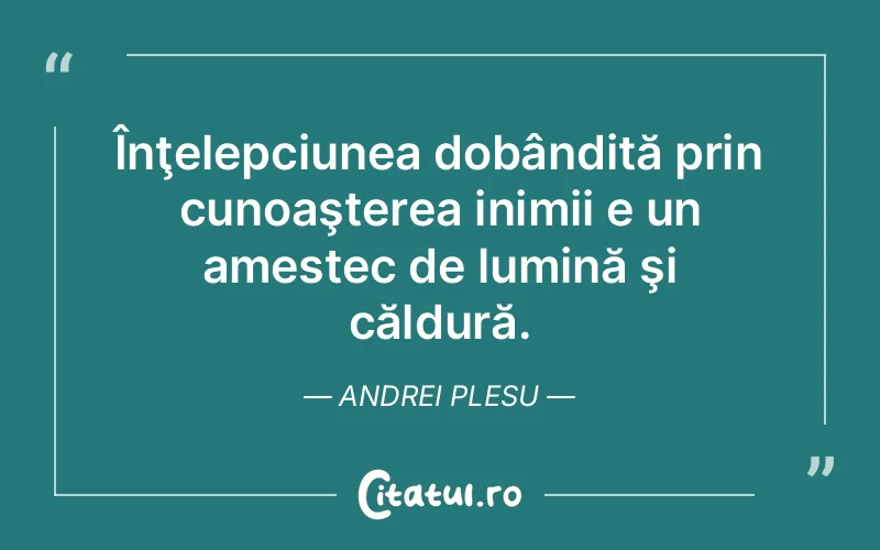 Citat Andrei Plesu - citate spiritualitate